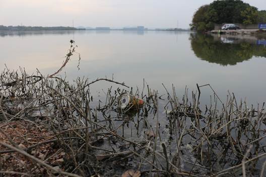 古天乐代言太阳集团网址