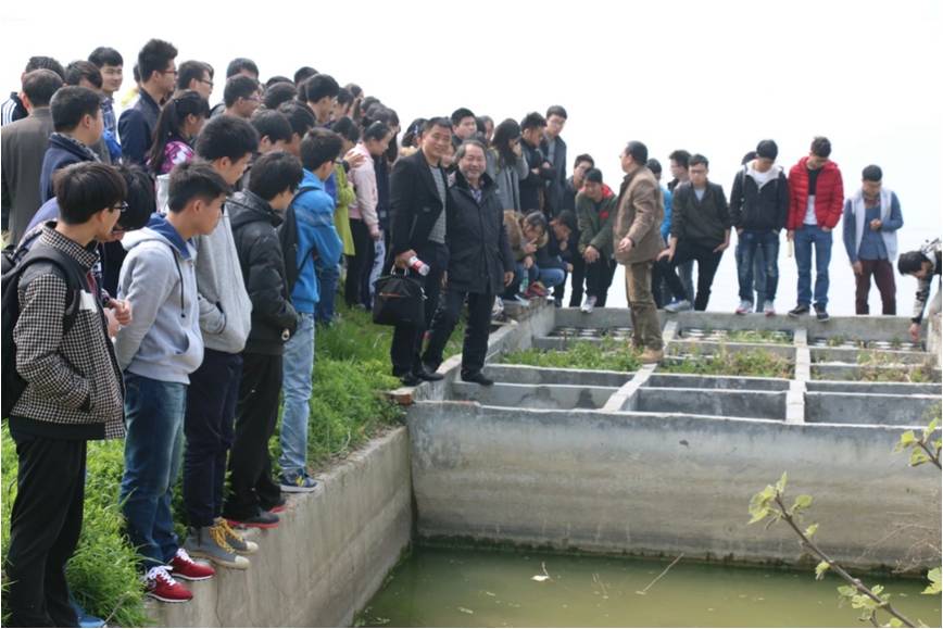 古天乐代言太阳集团网址